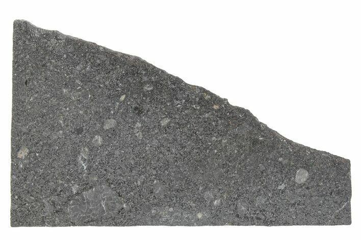 Polished Mesosiderite Meteorite Slice ( g) - NWA #286219